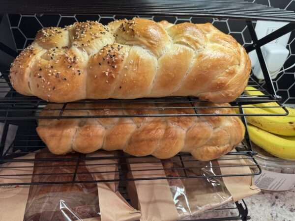 Purrfectly Twisted SourDough Challah